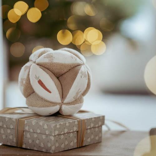 Palla sensoriale Baby Bunny  MULTICOLORE LD8853 -  NANU' BABY