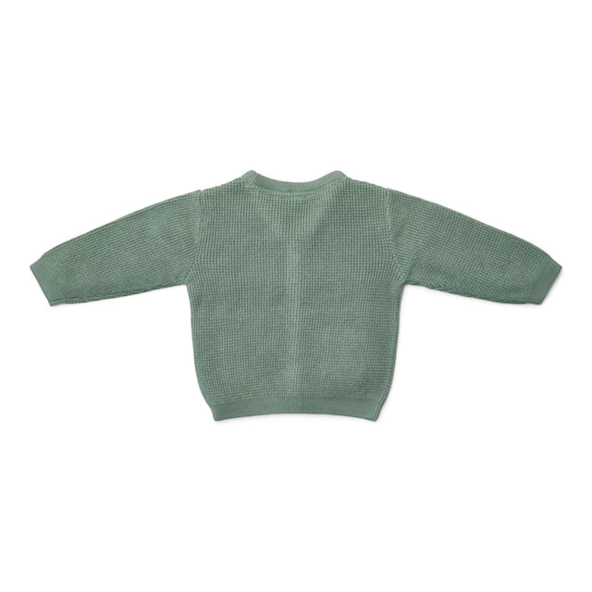 Cardigan lavorato a maglia - Amici della foresta Bimbo Verde CL25092092