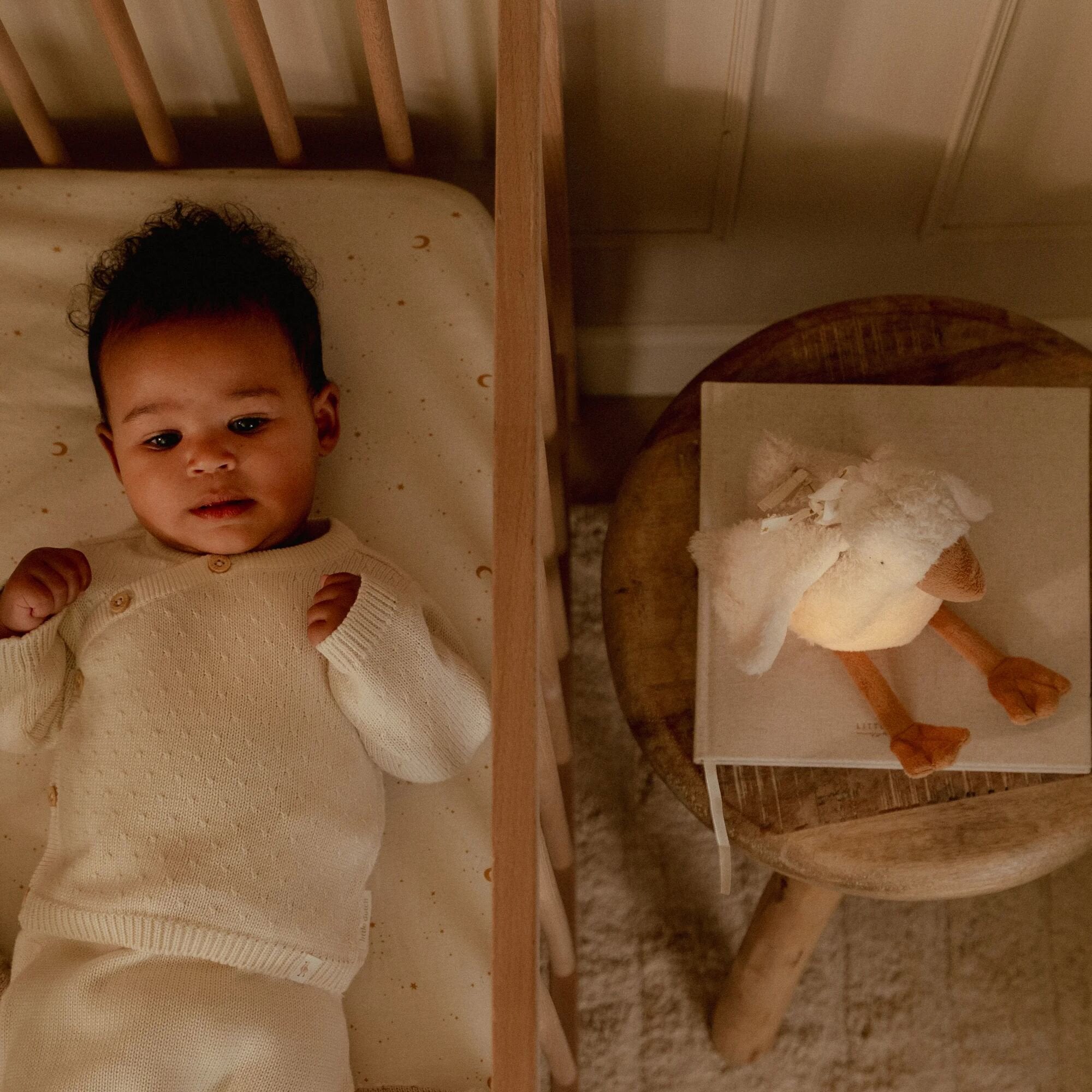 Luce notturna con suoni - Baby Goose Bianco LD8440 - NANU' BABY