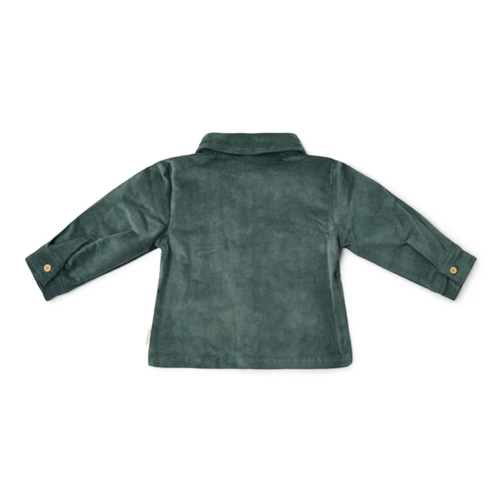 Camicia - Amici della foresta Bimbo Verde CL25091073