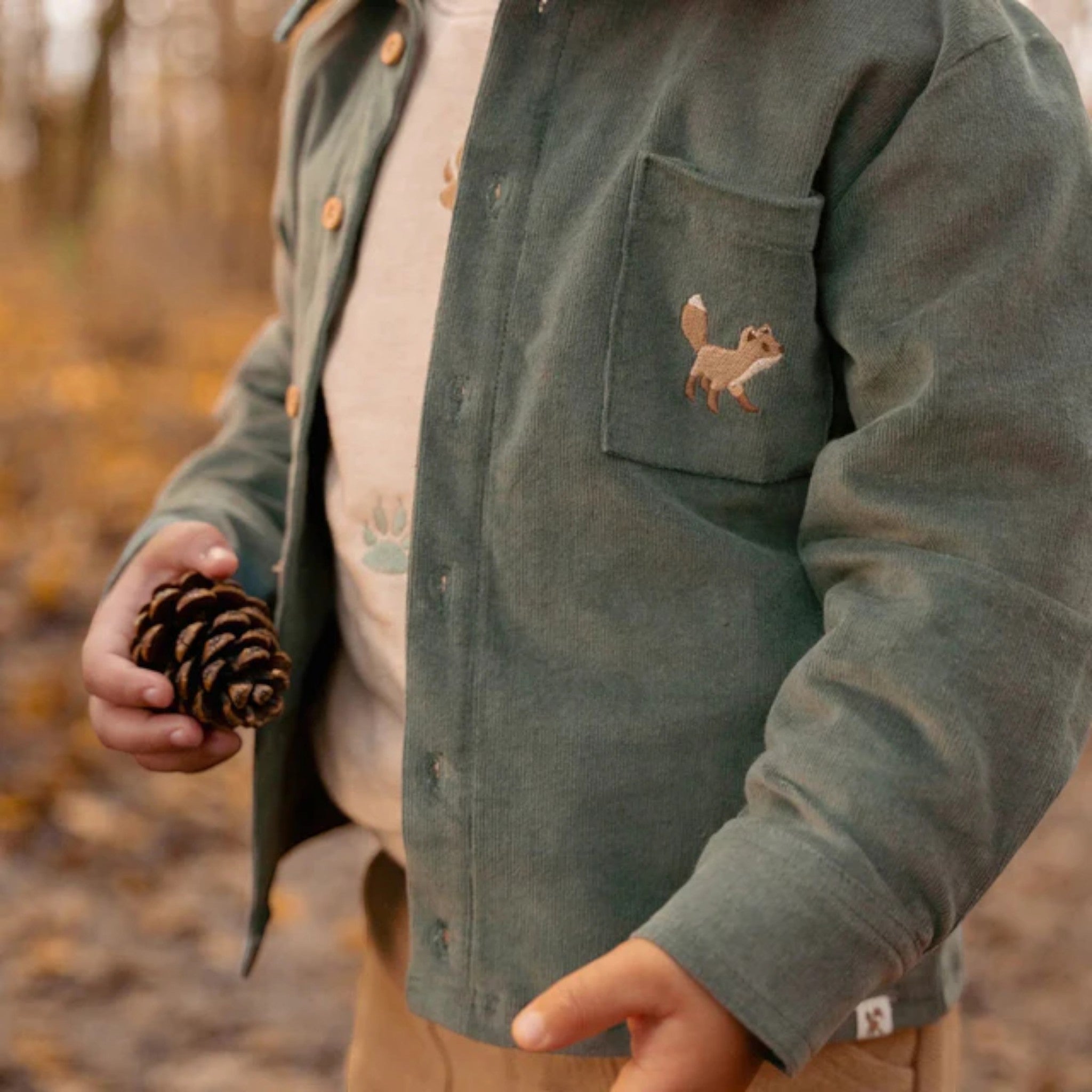 Camicia - Amici della foresta Bimbo Verde CL25091073