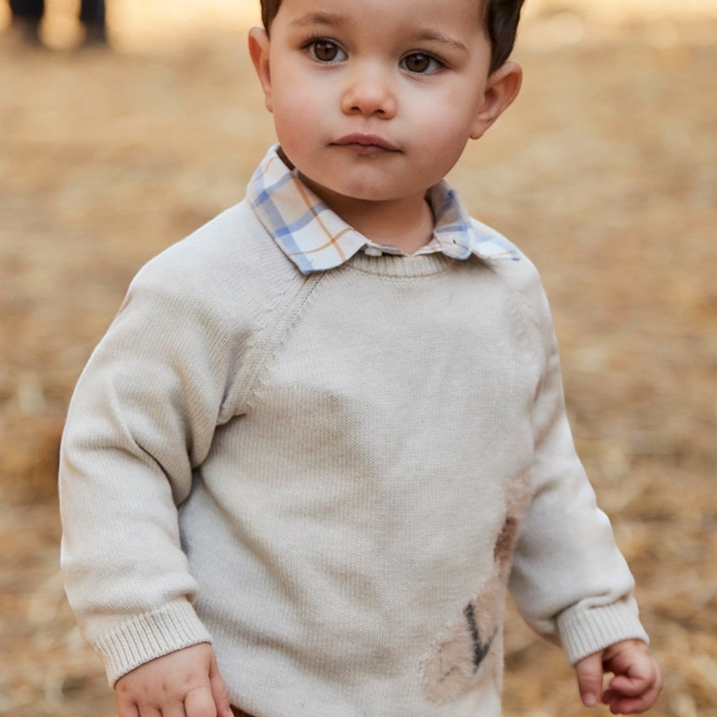 Maglioncino intarsio animal Bimbo Beige 2345/22 -  NANU' BABY