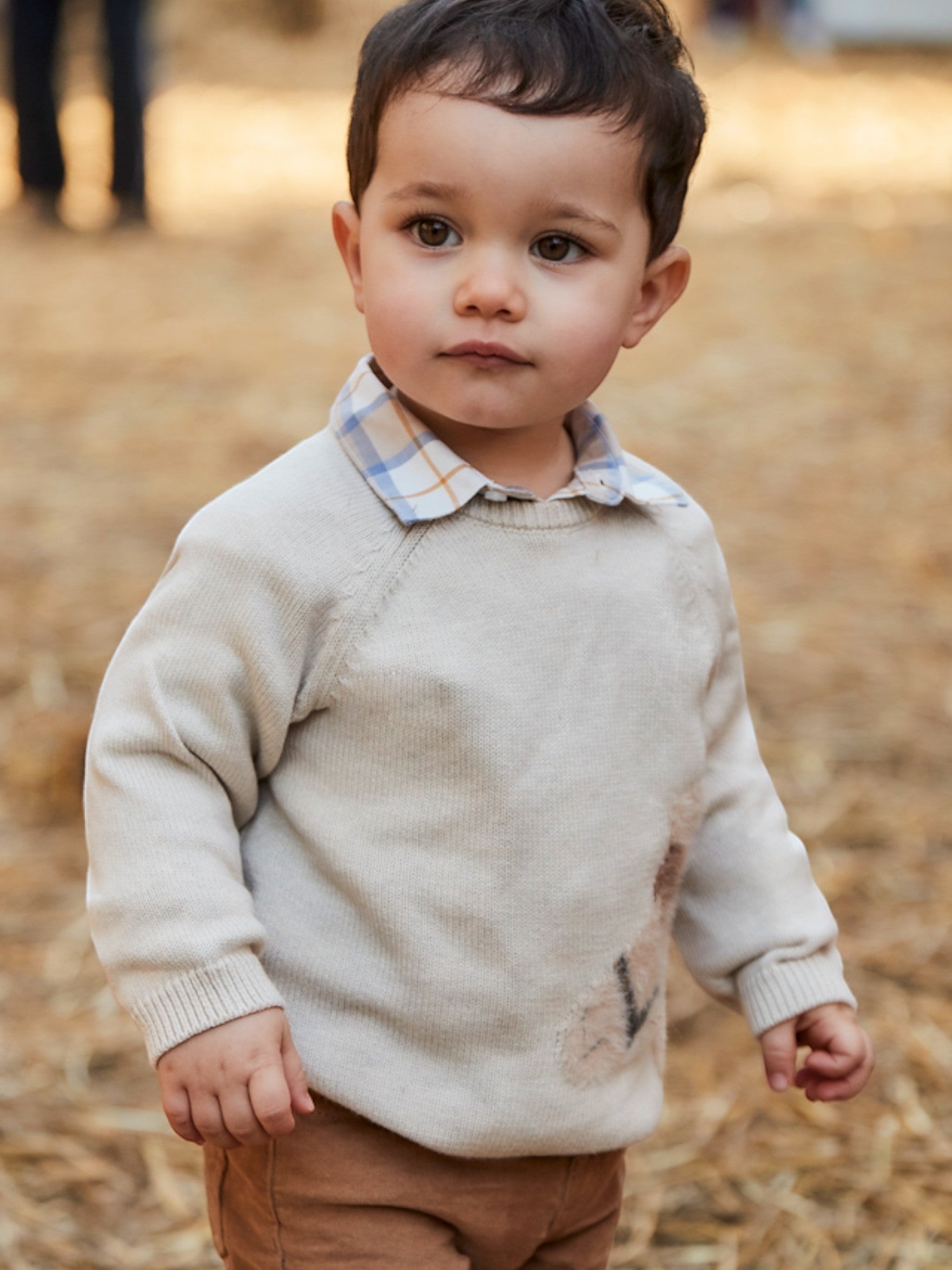 Animal intarsia sweater, baby boy, beige, 2345/22