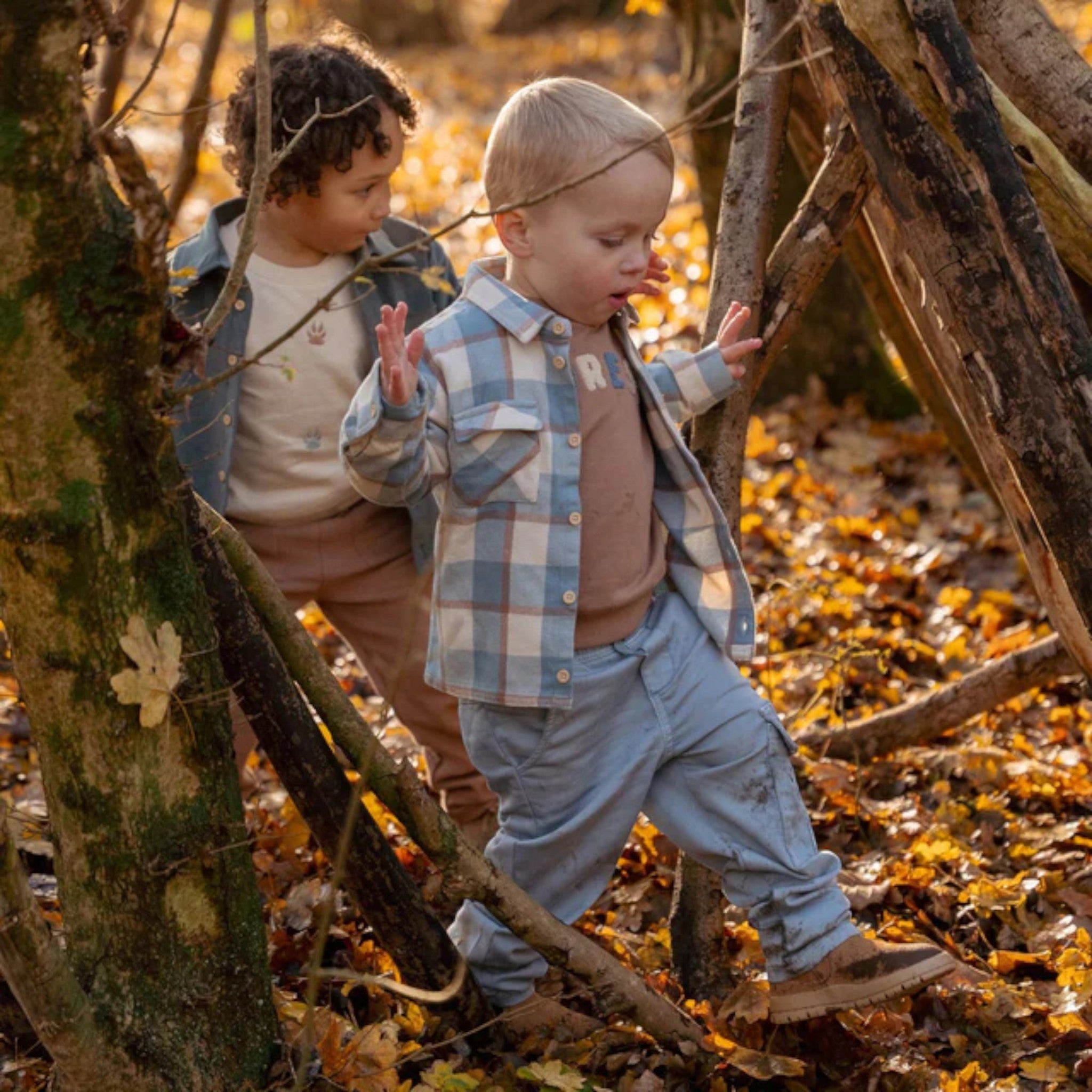 Maglia - Amici della foresta Bimbo Marrone CL25092067