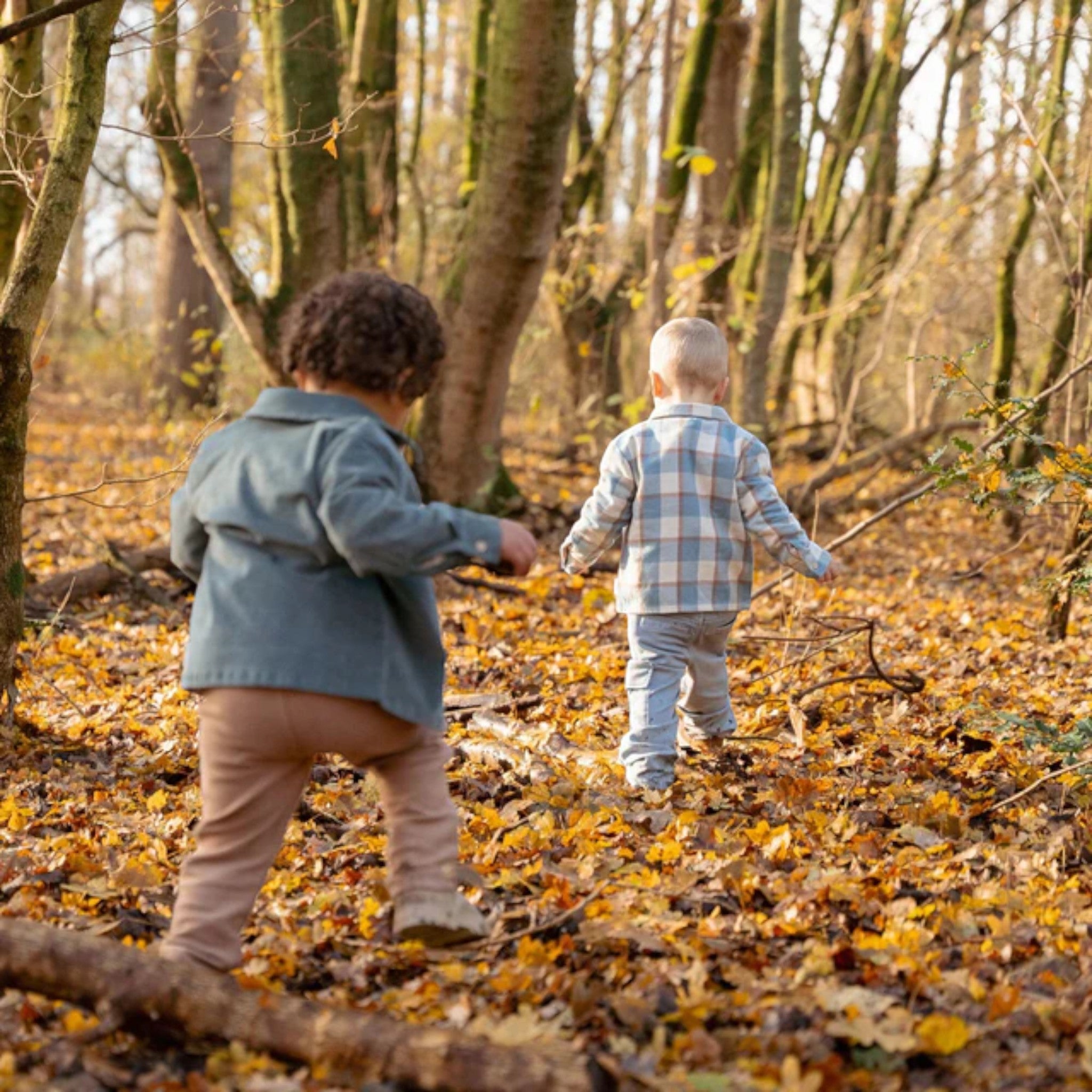 Trousers - Jogging fabric - Forest Friends Boy Blue CL25093037