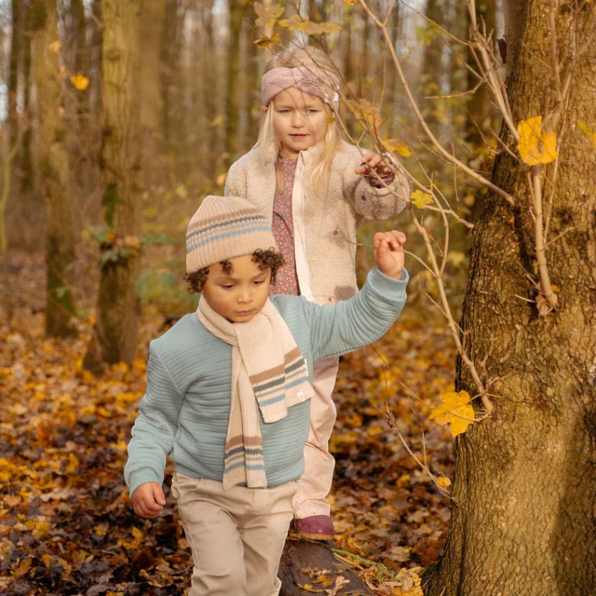 Sciarpa - Marrone - amici della Foresta  Avorio CL25099021