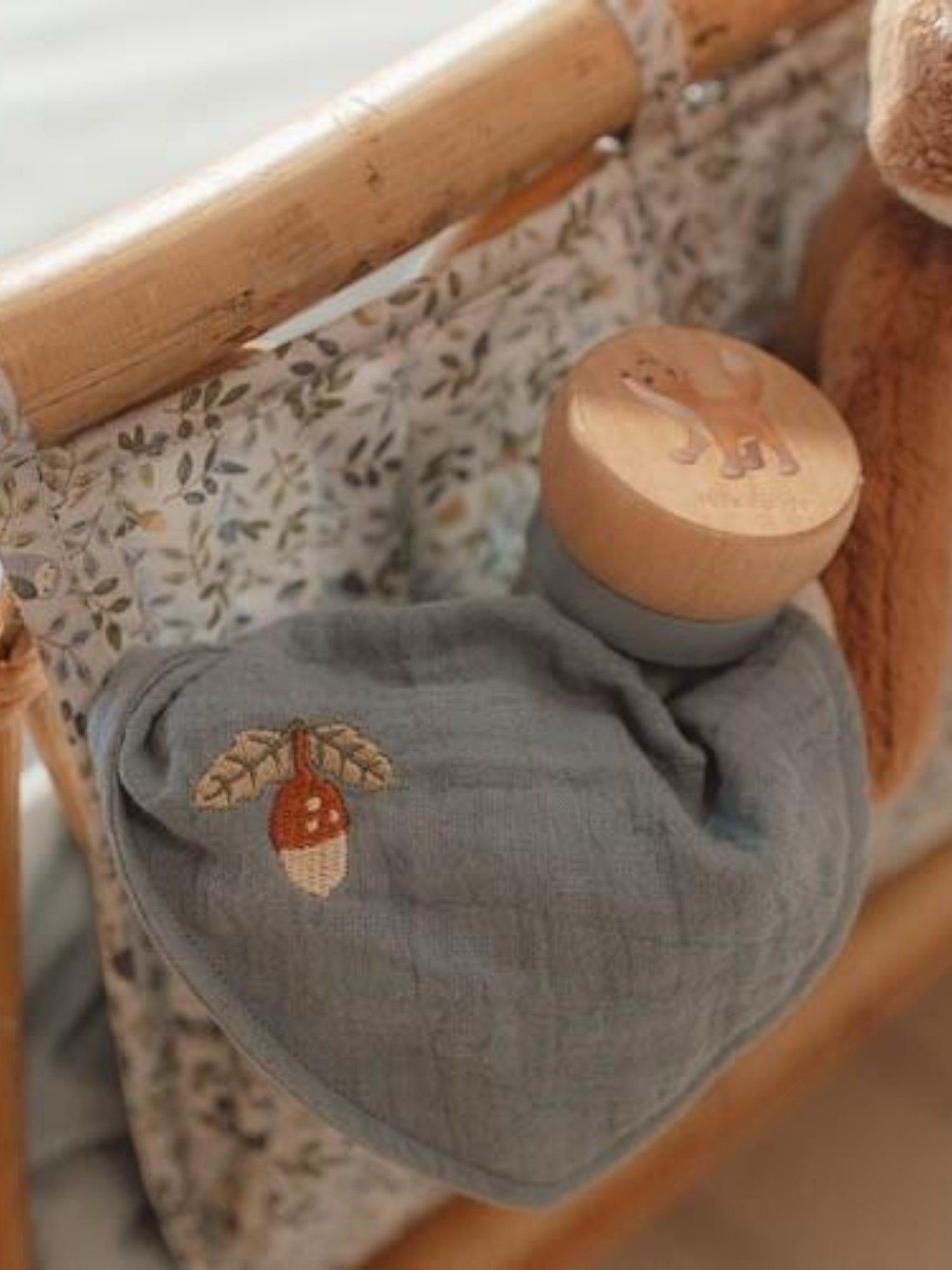 Organizzatore - Amici della foresta  BLU TE21344030 -  NANU' BABY