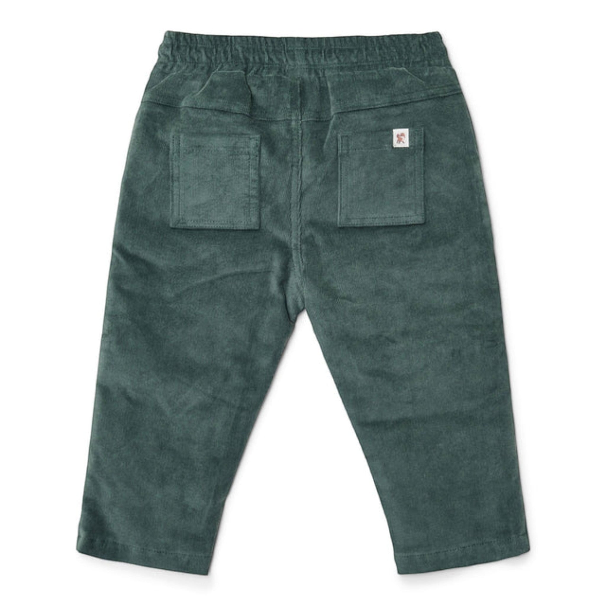 Pantaloni - Amici della foresta Bimbo Verde CL25093049