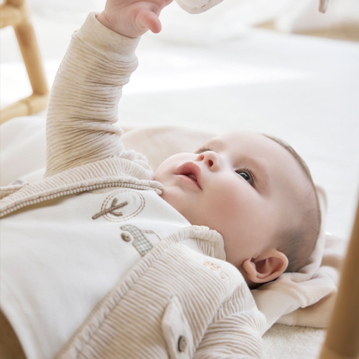 Brown Boy's Suit 2622/26