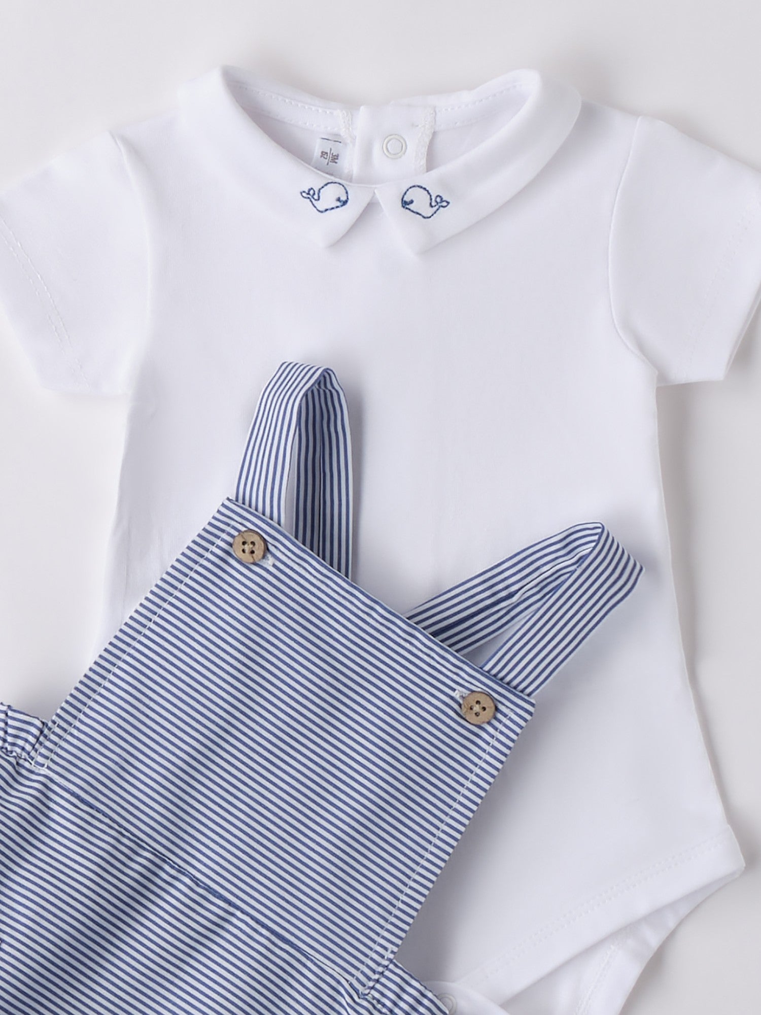 3B679/0113 - Completi e Pagliaccetti - MINIBANDA