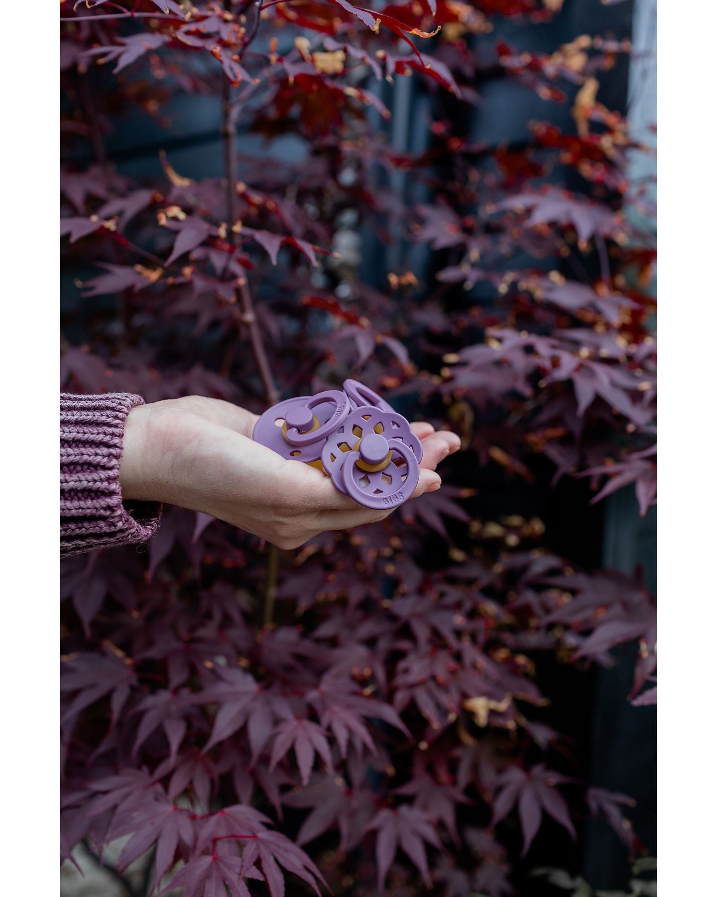 Set 2 ciucci Boheme  Fossil Grey/ Mauve  GRIGIO 230131 -  NANU' BABY