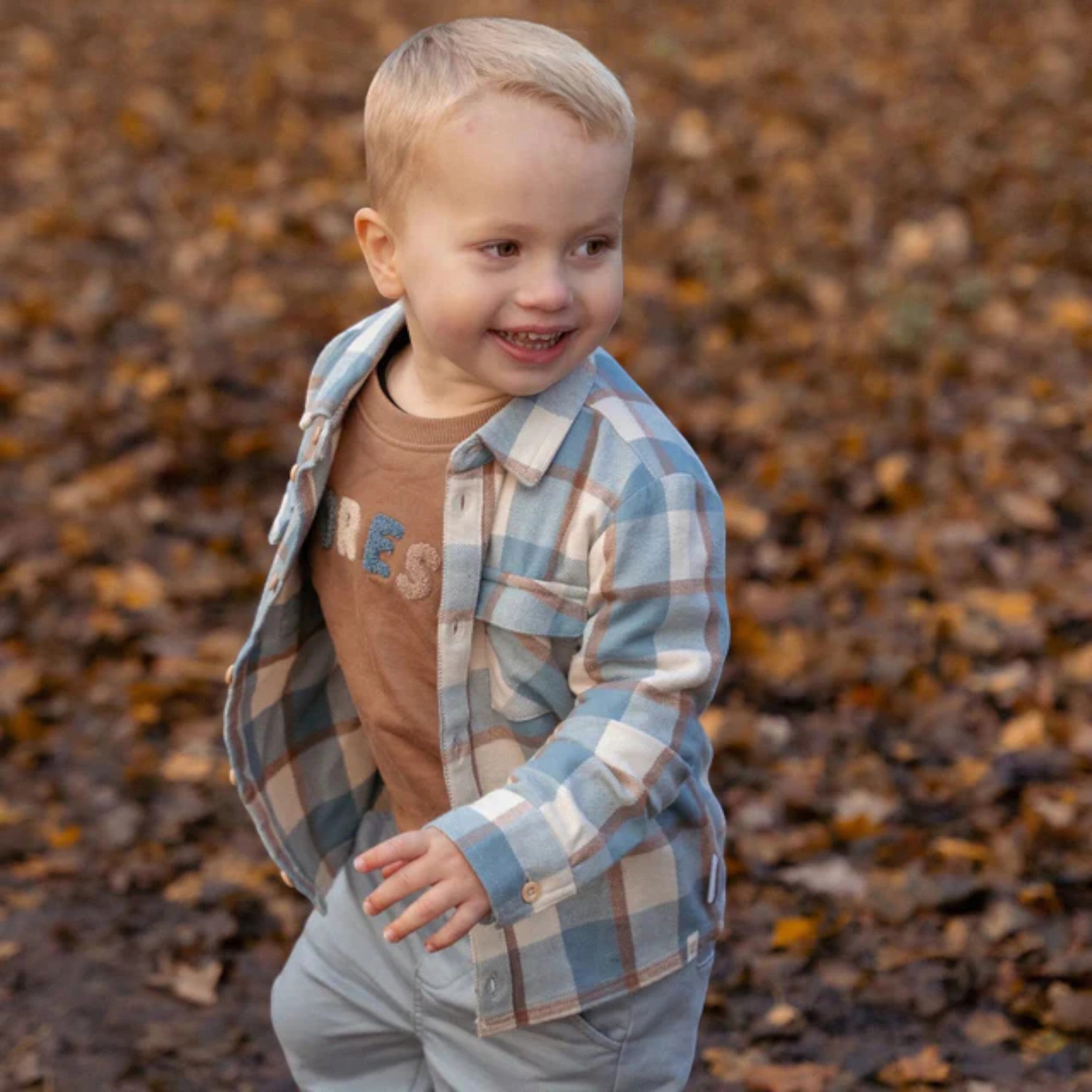 T-shirt - Friends of the Forest Boy Blue CL25091079