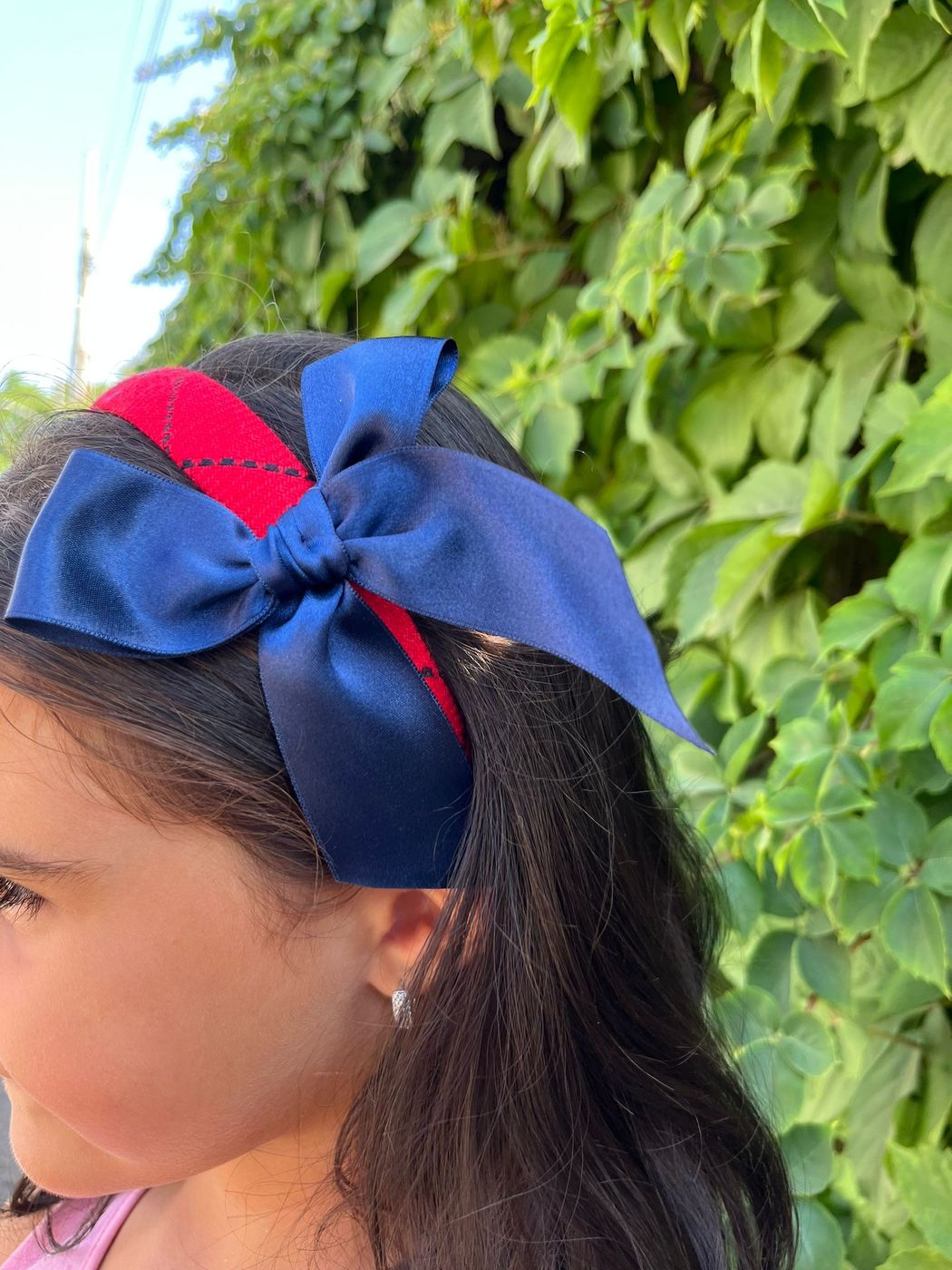 Red picture frame hoop J6233