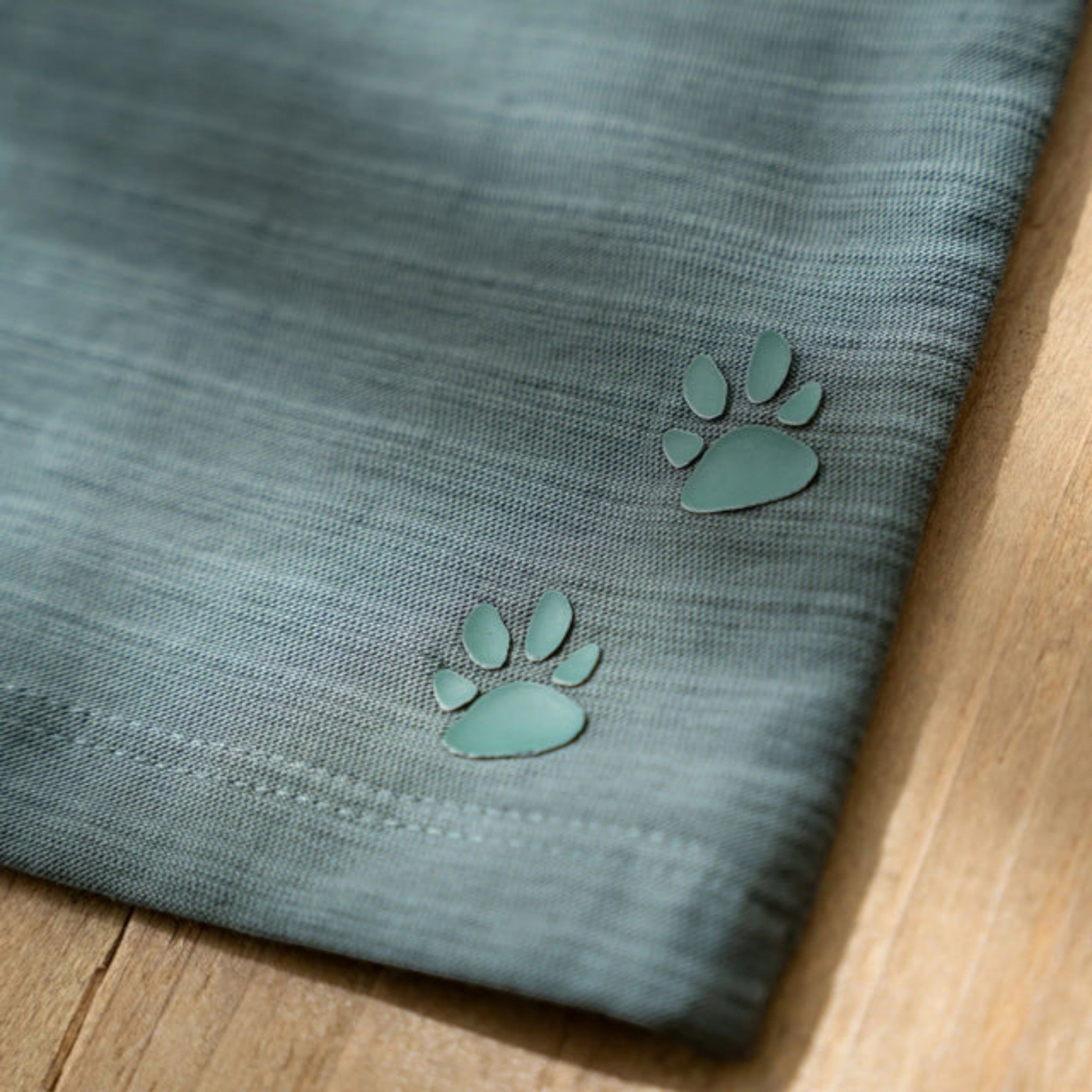 Maglietta a manica lunga - Amici della foresta Bimbo Verde CL25091061