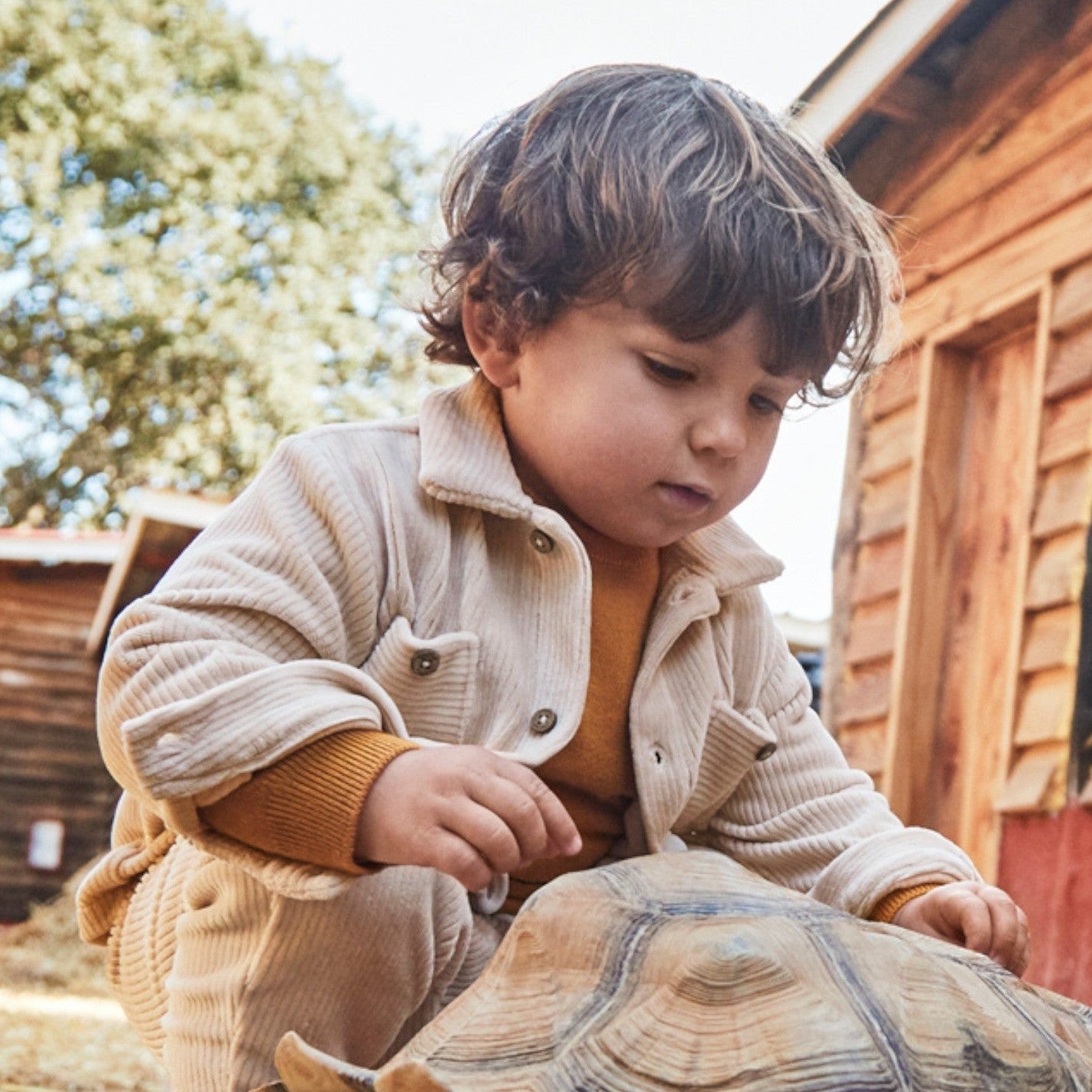 Camicia Bimbo Beige 2105/51 -  NANU' BABY