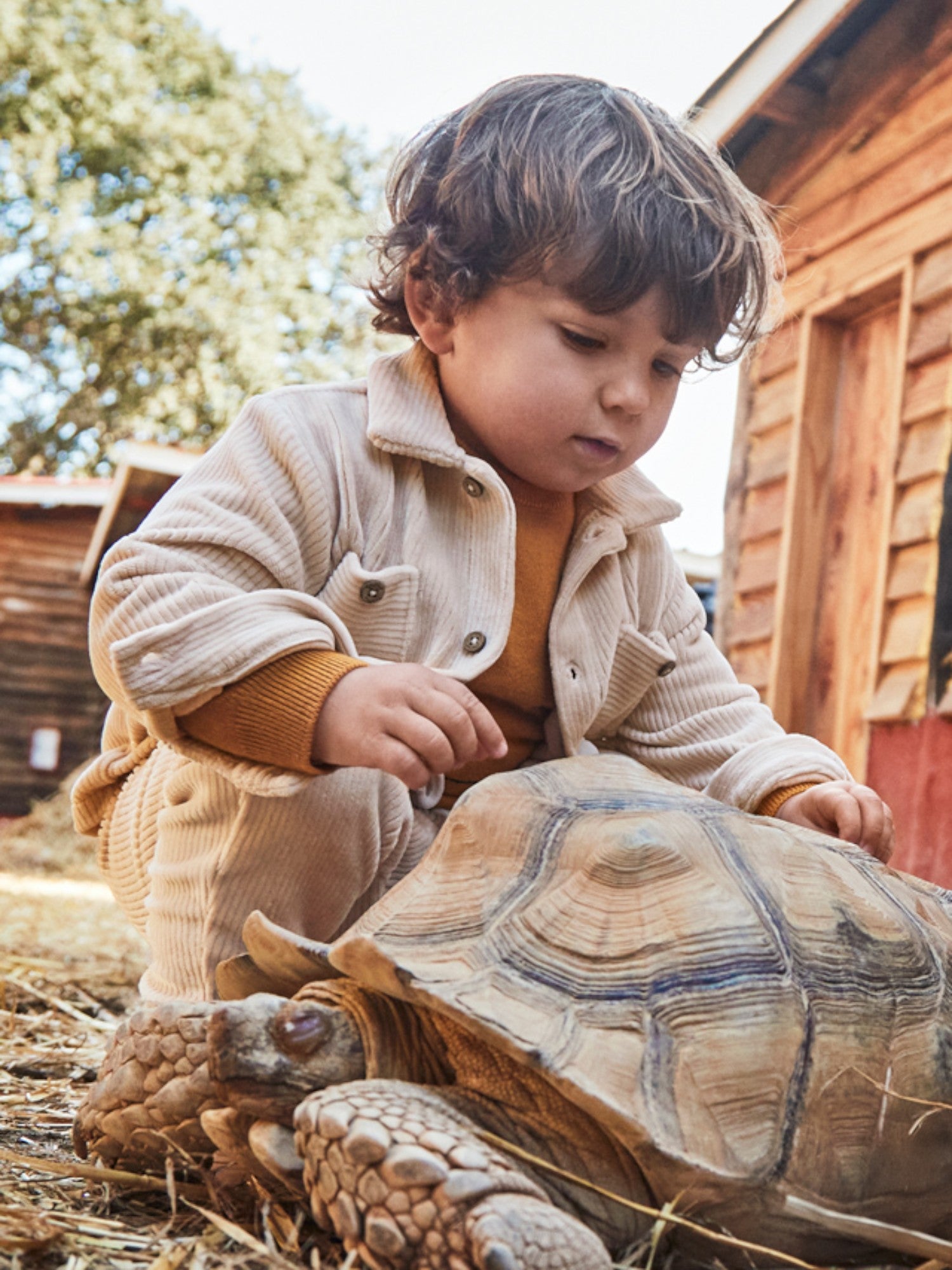 Beige Baby Boy Shirt 2105/51