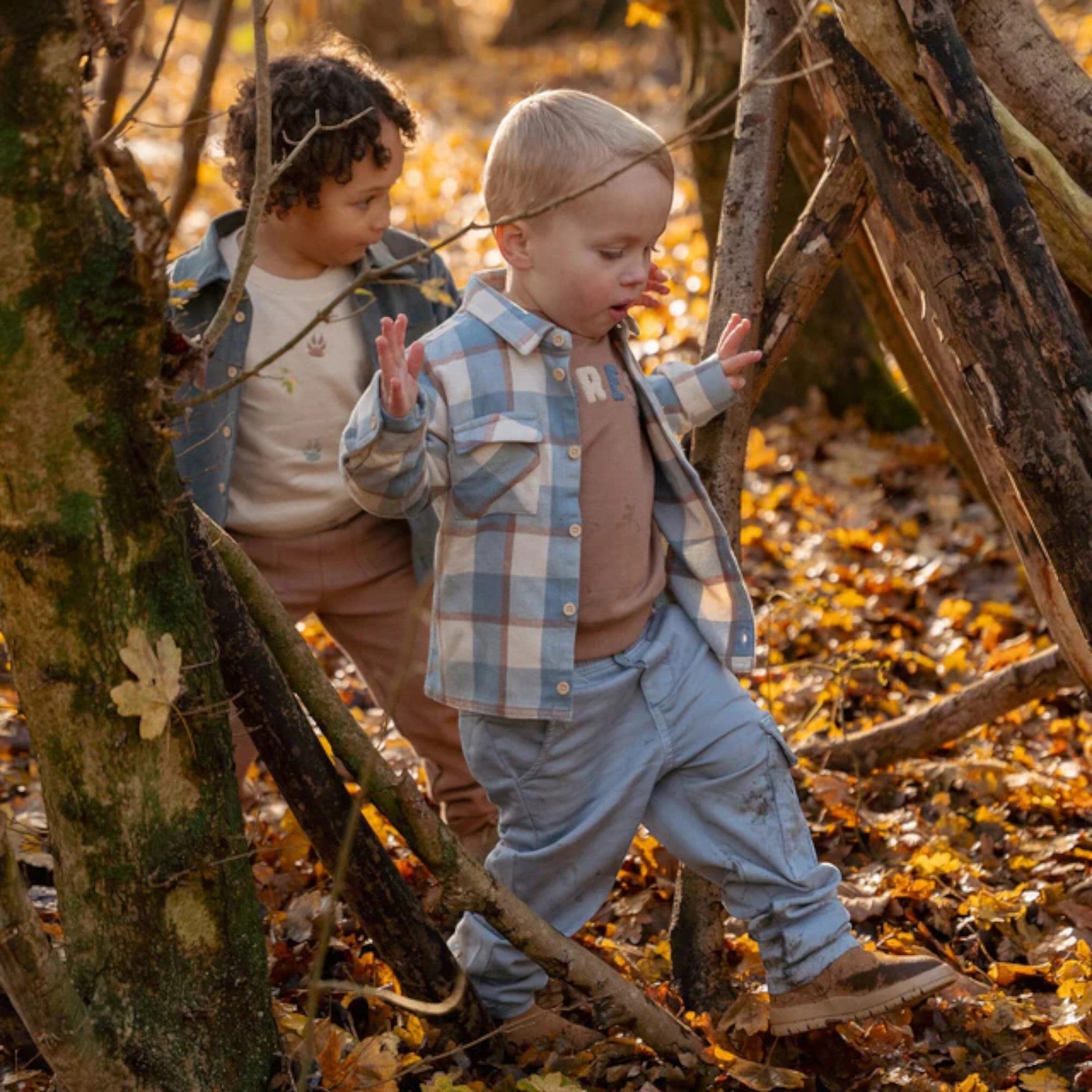 T-shirt - Friends of the Forest Boy Blue CL25091079
