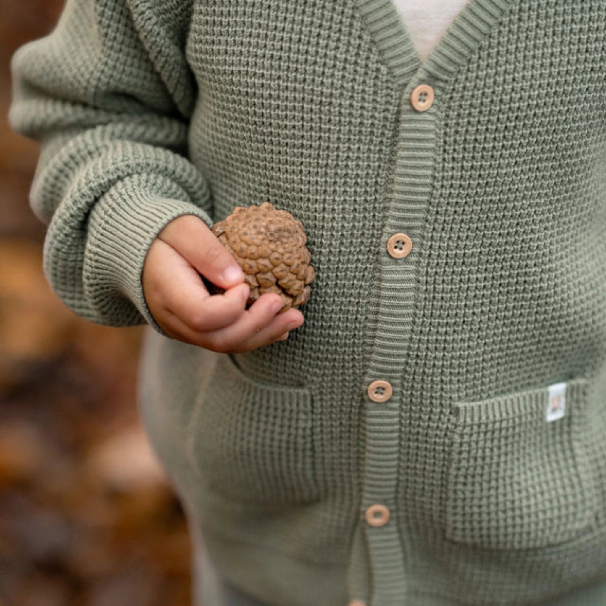 Cardigan lavorato a maglia - Amici della foresta Bimbo Verde CL25092092