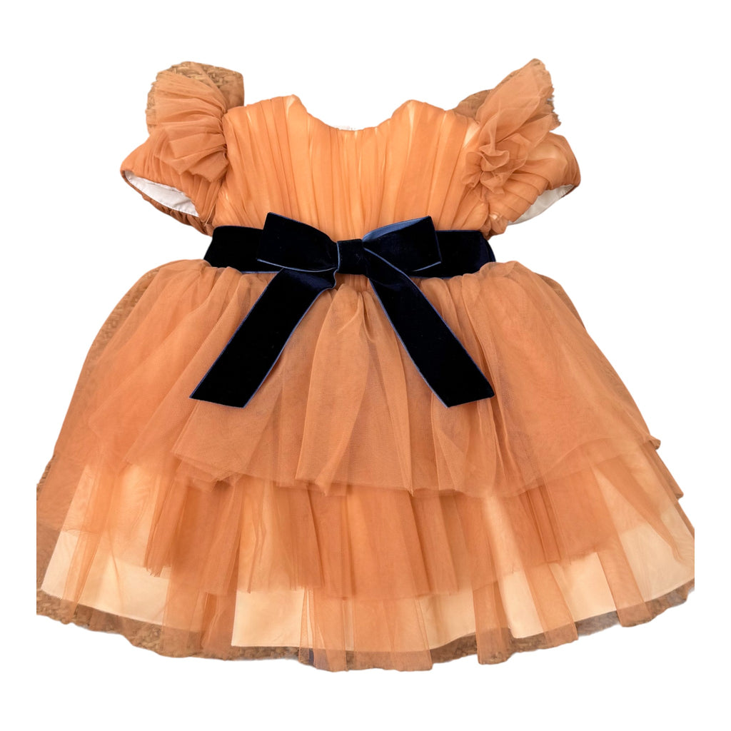 Orange Tulle Dress for Girls GG33I