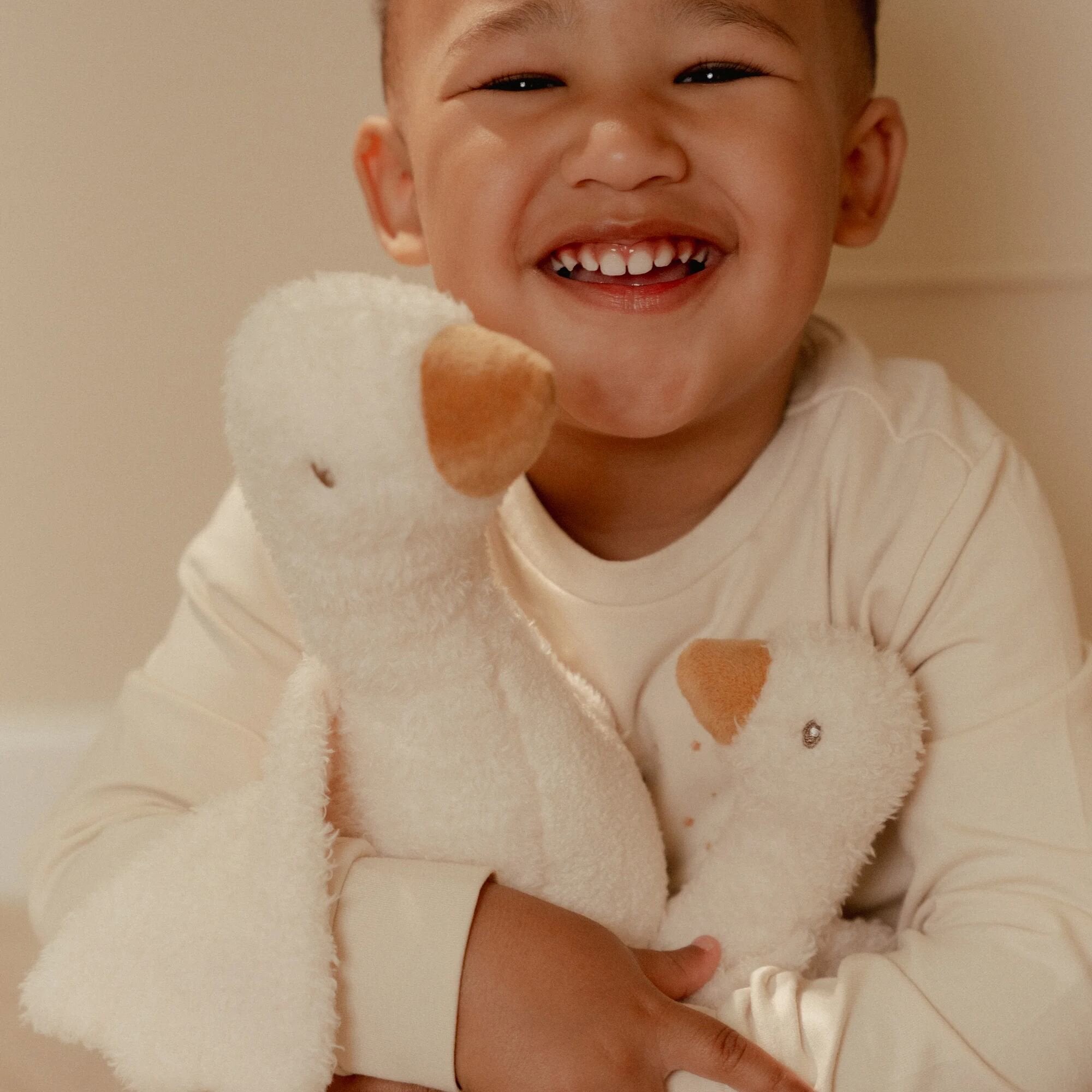 25 cm White Goose Plush Toy LD8405