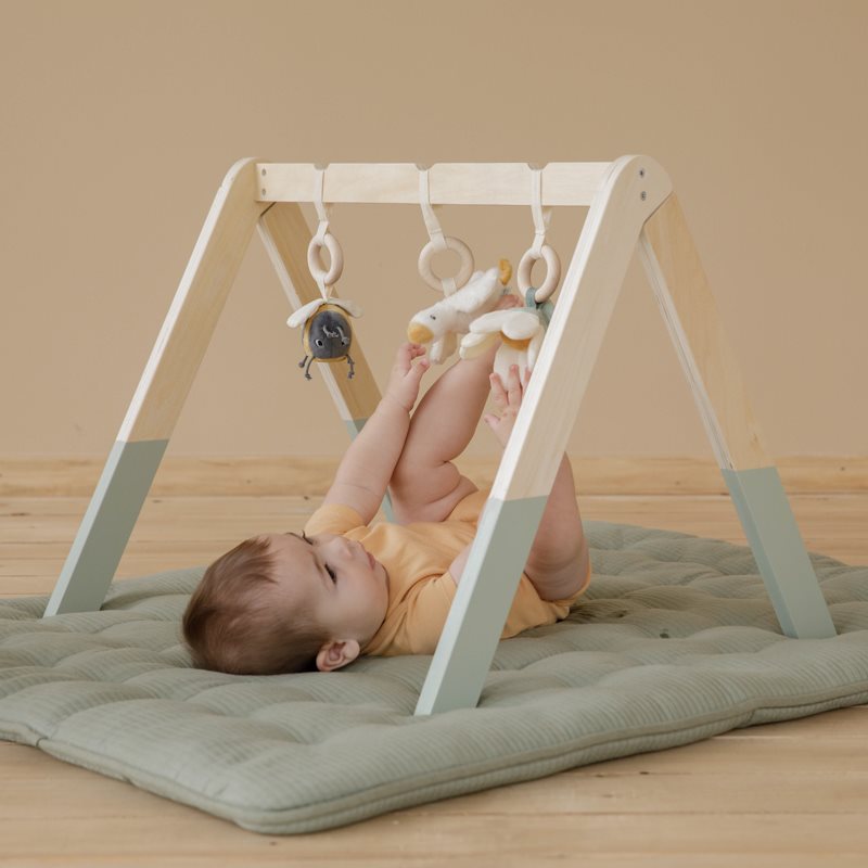 Baby gym Little Goose Multicolored LD8510