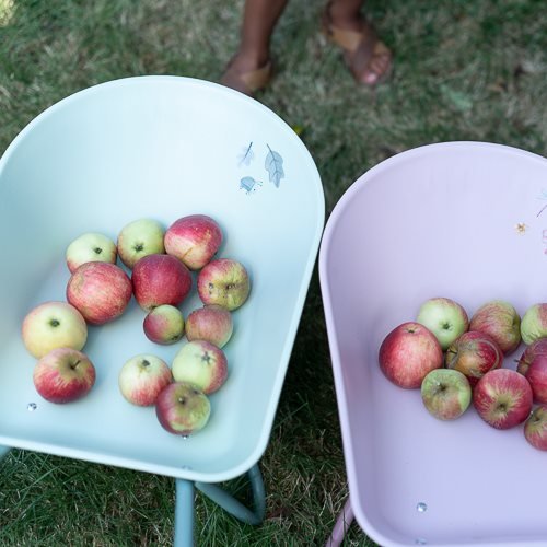 Carriola - Giardino delle fate ROSA LD9124 corredino e abbigliamento neonato | NANU' BABY