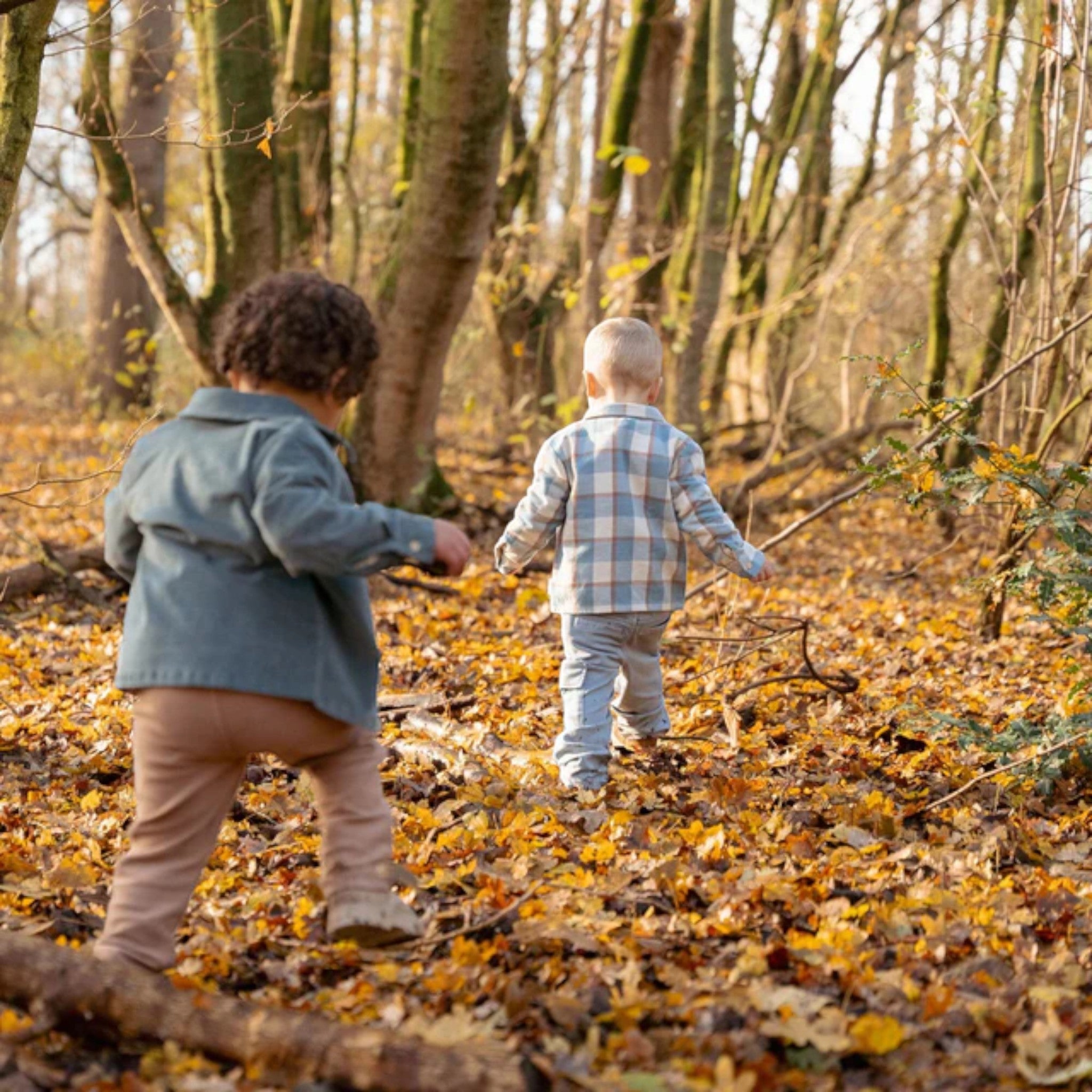 T-shirt - Friends of the Forest Boy Blue CL25091079
