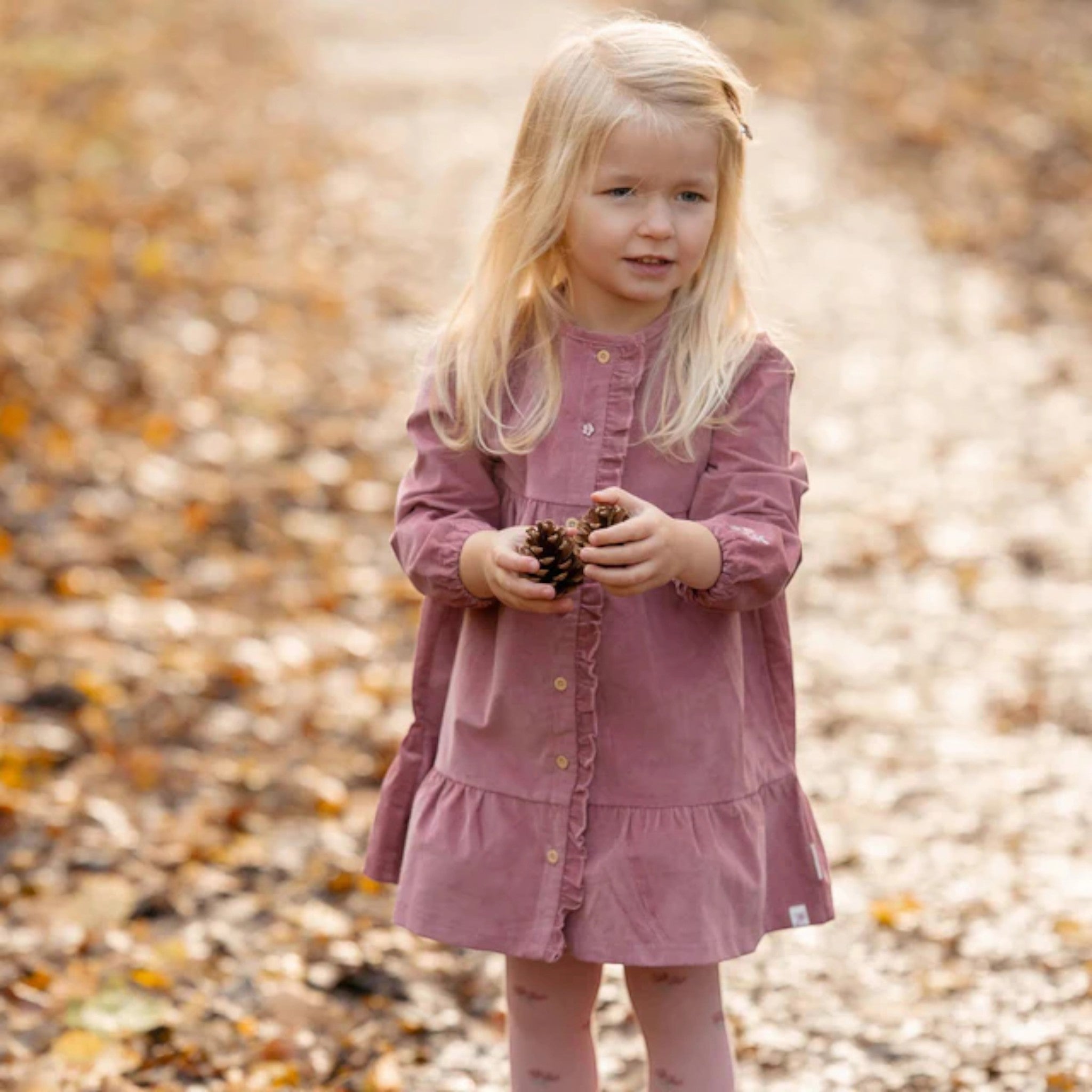 Long-sleeved dress - Fairy Garden Girl Pink CL25095001