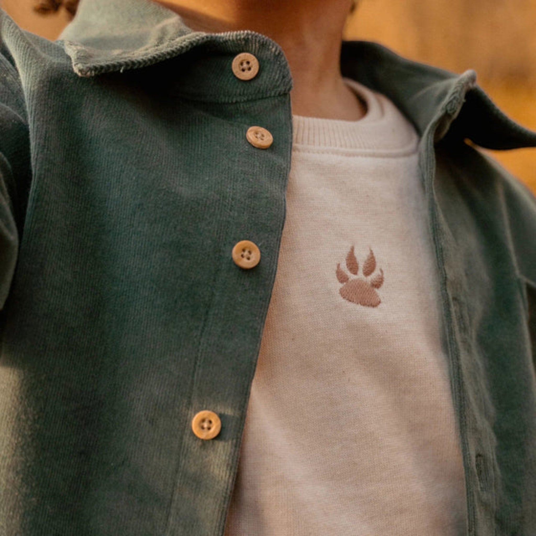 Camicia - Amici della foresta Bimbo Verde CL25091073