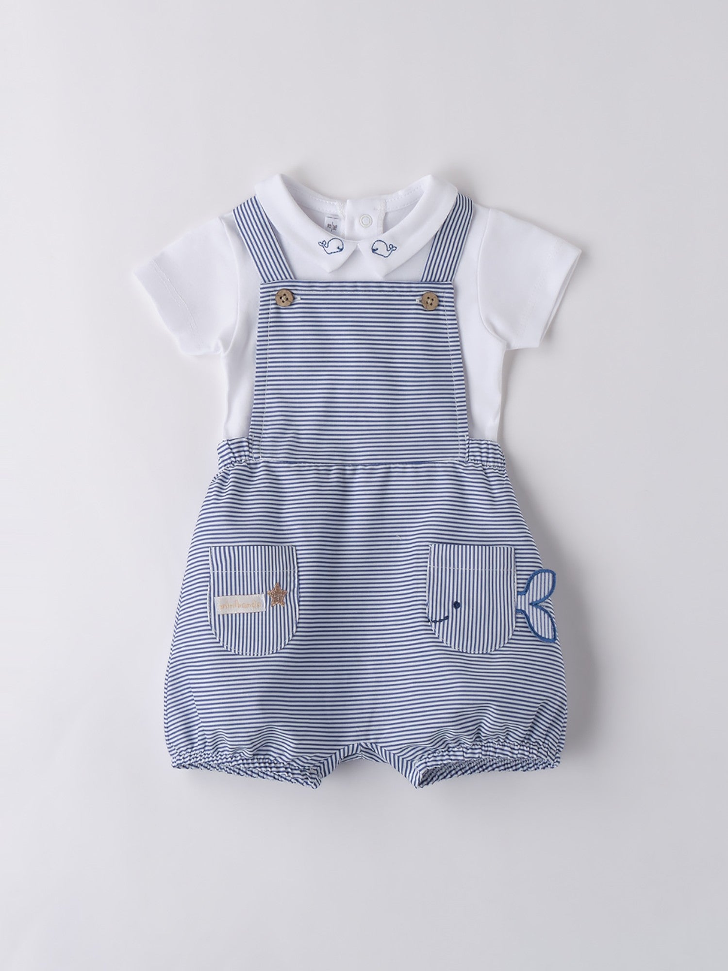 3B679/0113 - Completi e Pagliaccetti - MINIBANDA