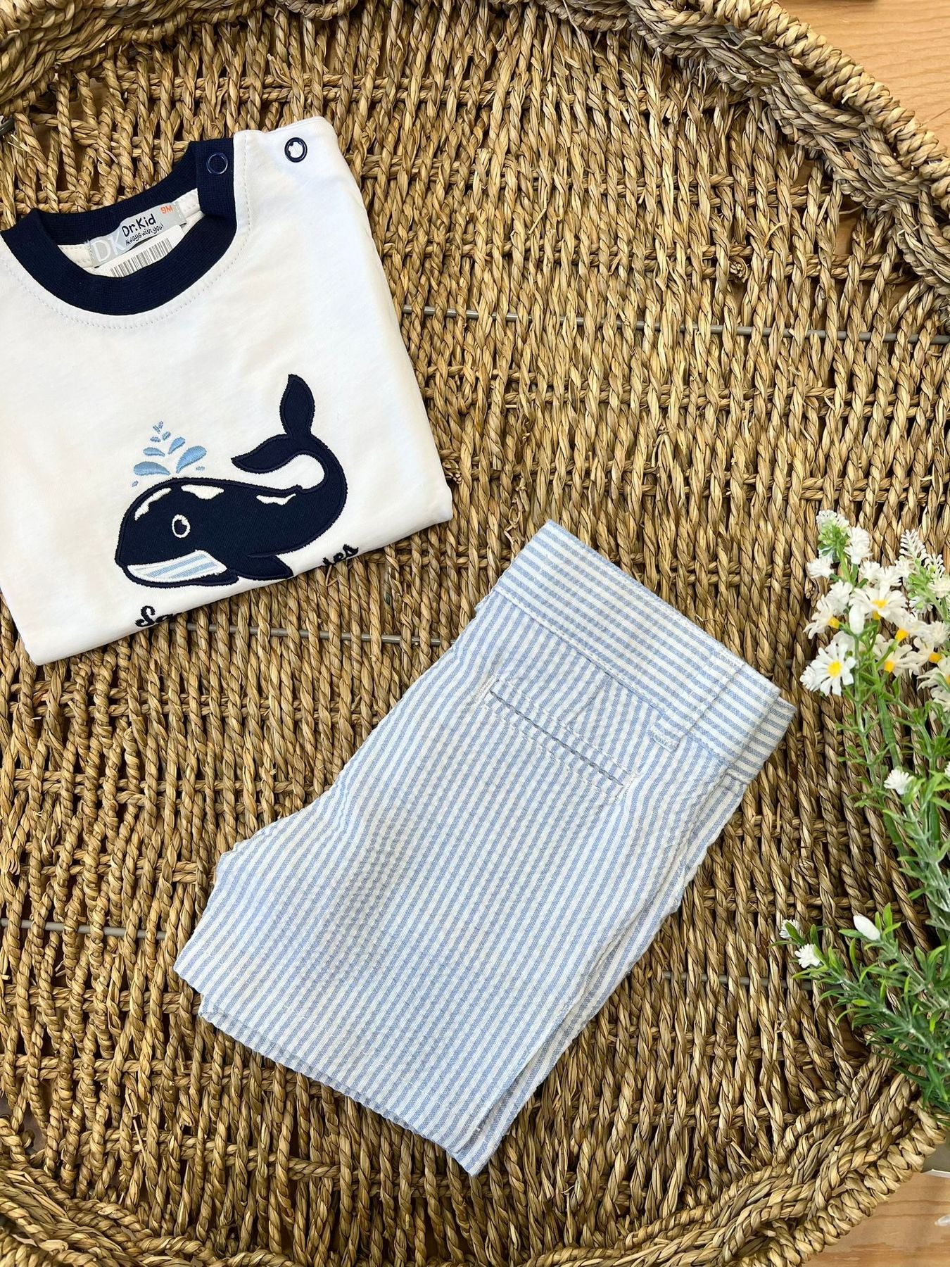 SAVE DK304 -  - DR KID