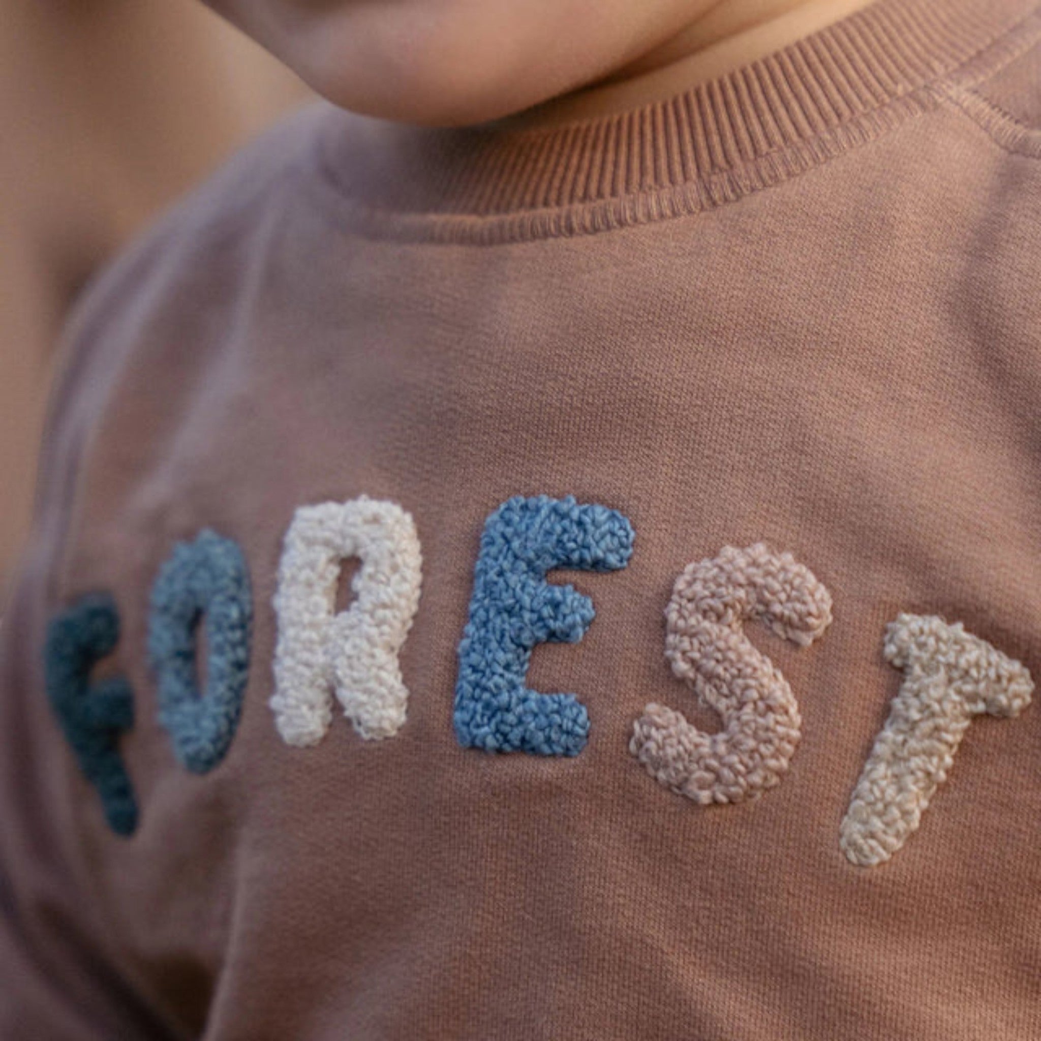 Shirt - Friends of the Forest Boy Brown CL25092067