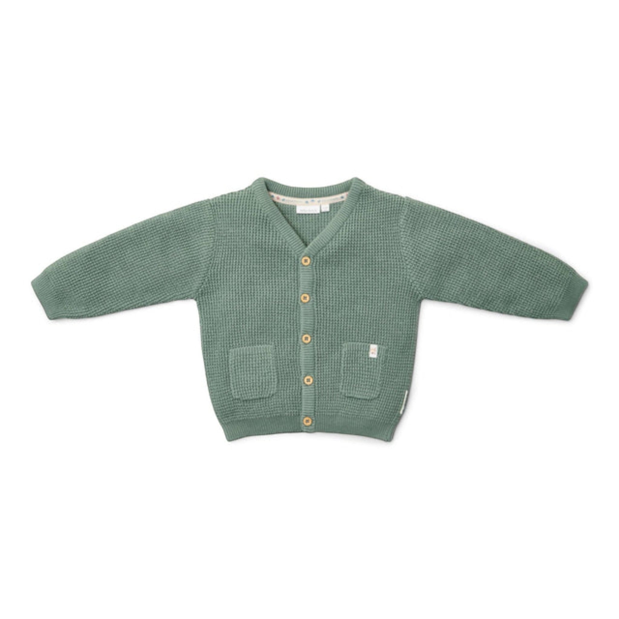 Cardigan lavorato a maglia - Amici della foresta Bimbo Verde CL25092092
