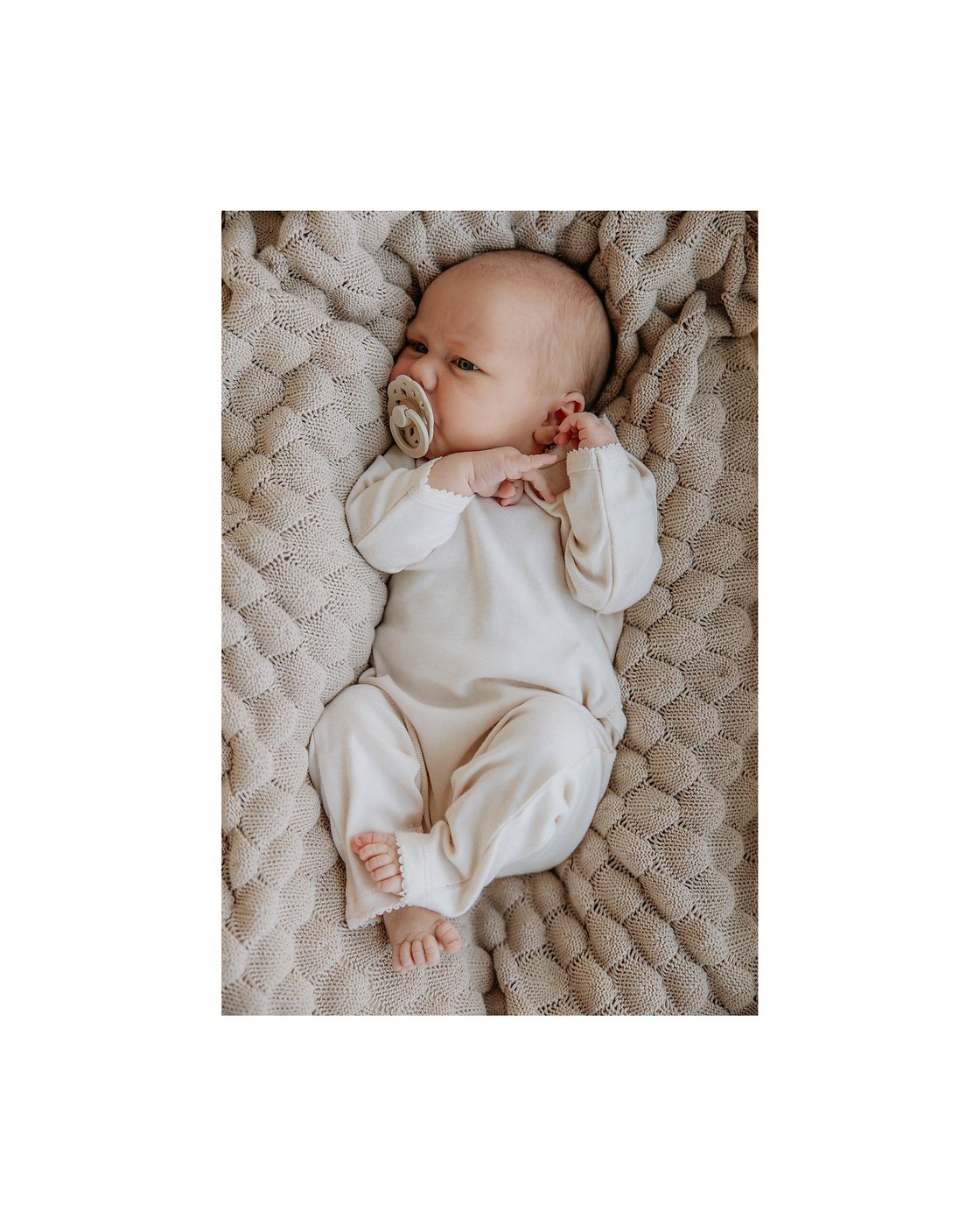 Set 2 ciucci Boheme Vaniglia/Rovere scuro  VANIGLIA 230106 -  NANU' BABY